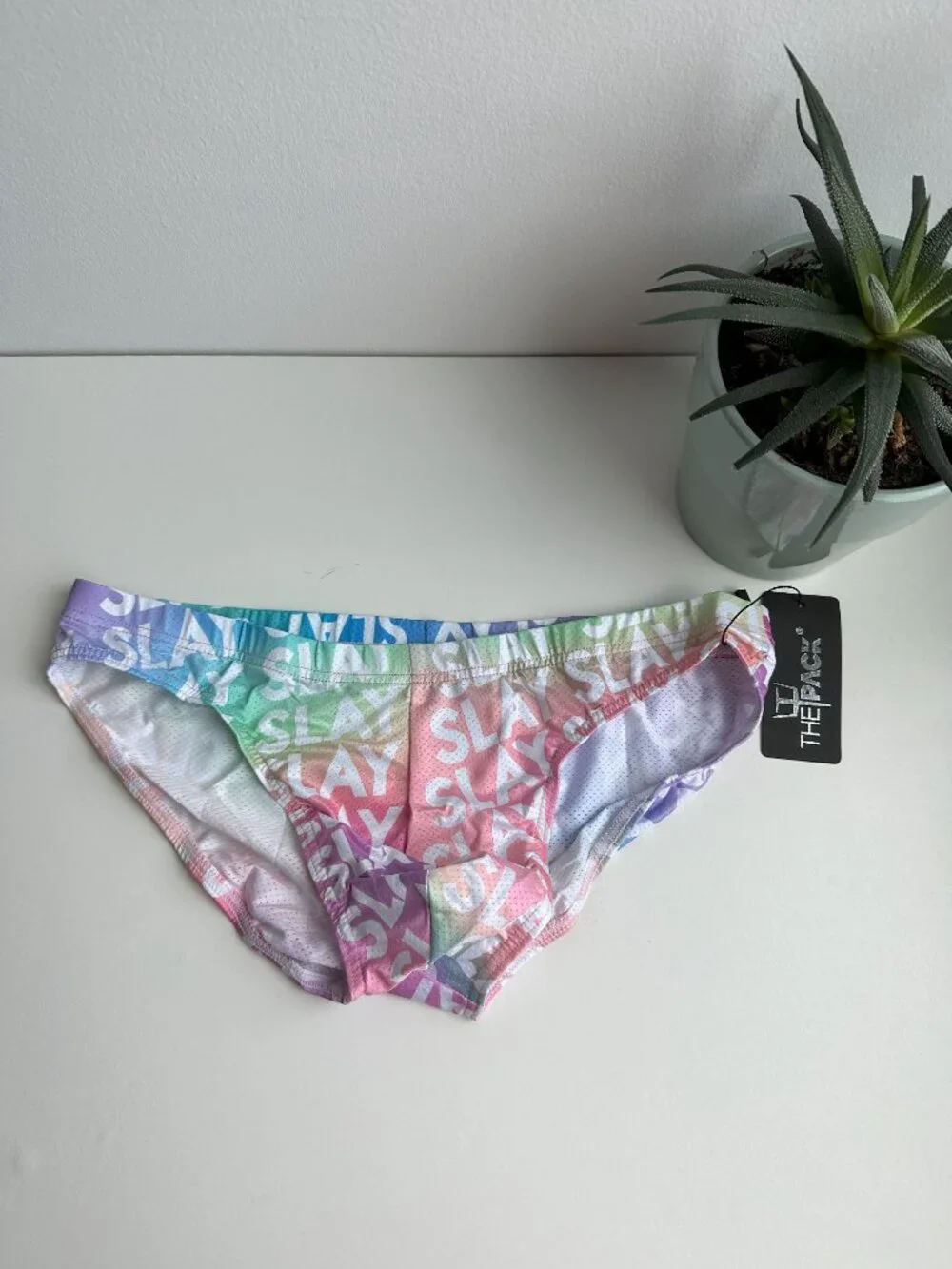 ThePack - Slay Pride Brief - Multi (M)